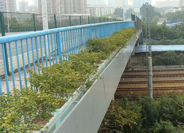 ���Ͽ�������